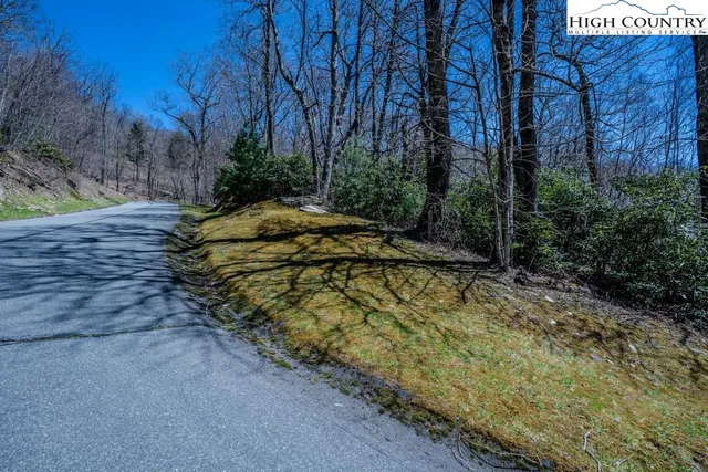 a view of a yard with plants