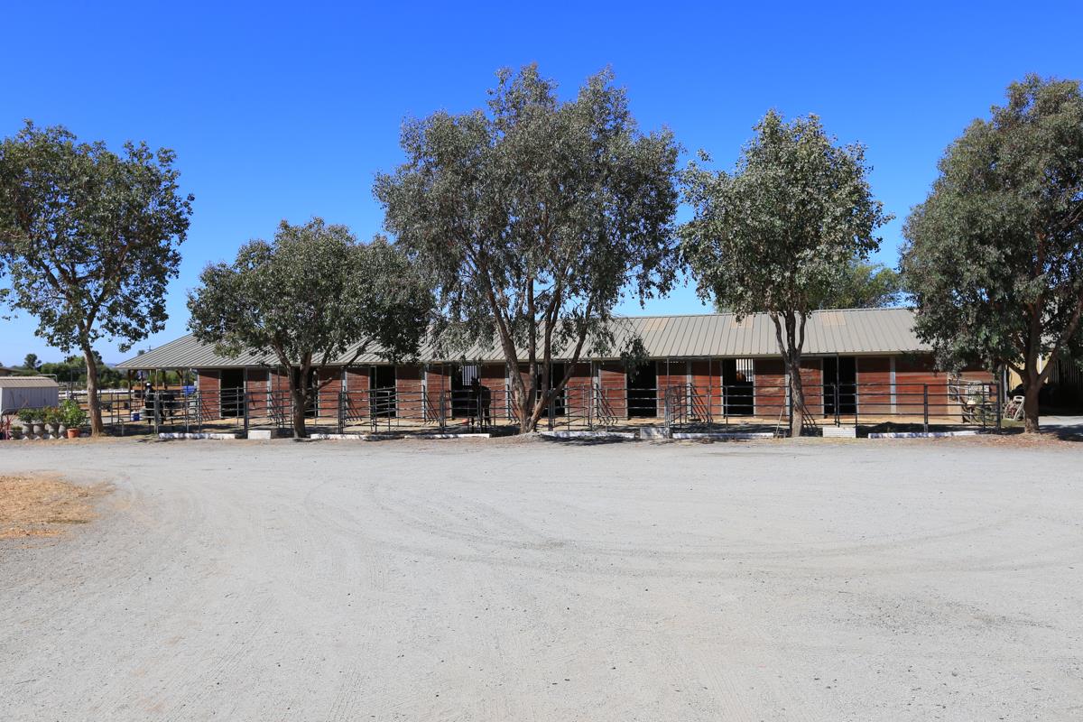 3245 Roop Road Gilroy, CA 95020 - Photo 26 of 35 a front view of a house with a yard covered with trees