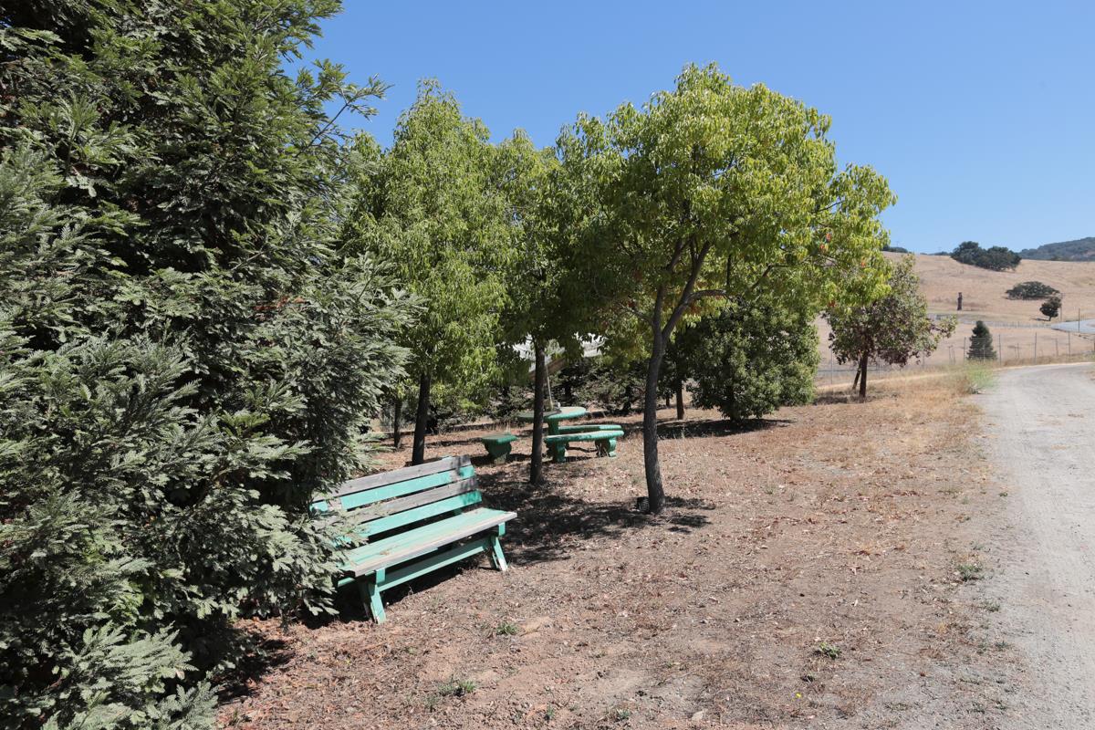 3245 Roop Road Gilroy, CA 95020 - Photo 33 of 35 a bench sitting in the middle of a yard