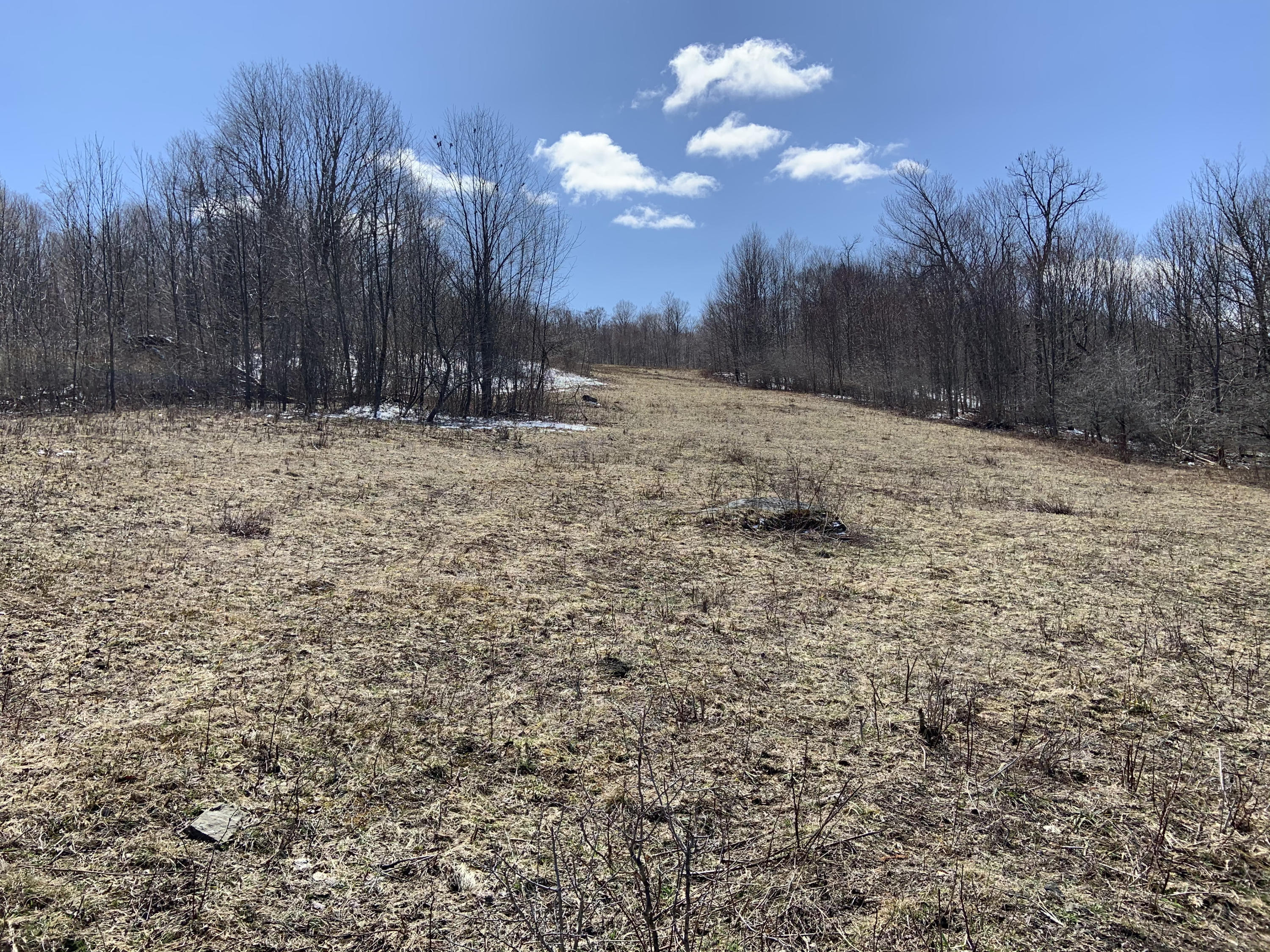 Starrucca Creek Road Susquehanna, PA 18847 - Photo 4 of 11