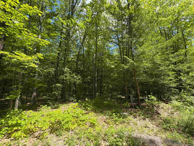 $100,000 | Craig Road, Unit 3, Antrim, NH 03440