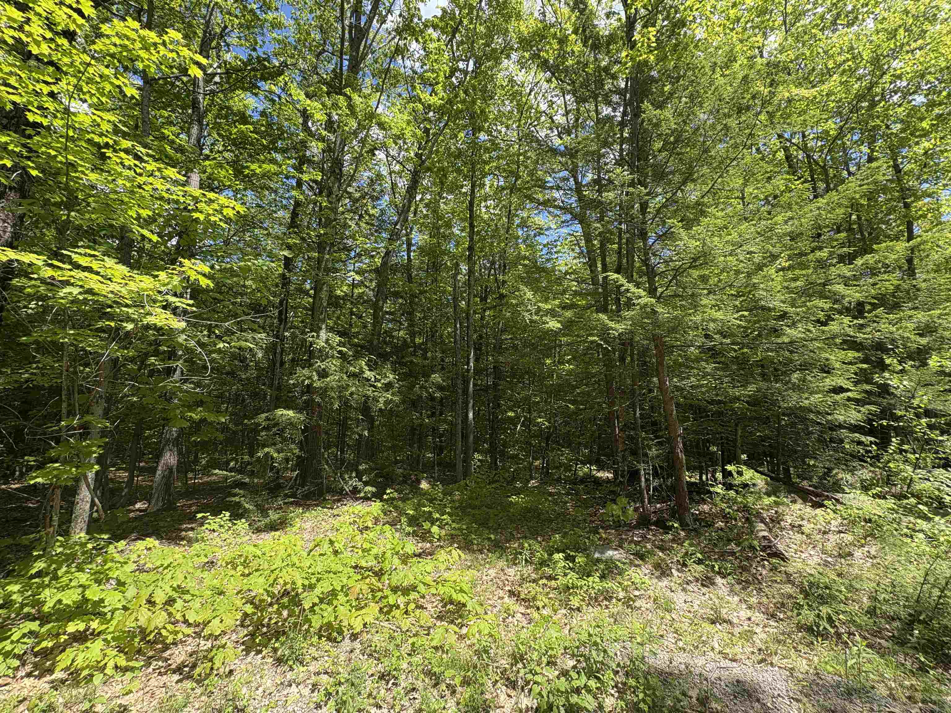 Craig Road, Unit 3 Antrim, NH 03440 - Photo 2 of 8