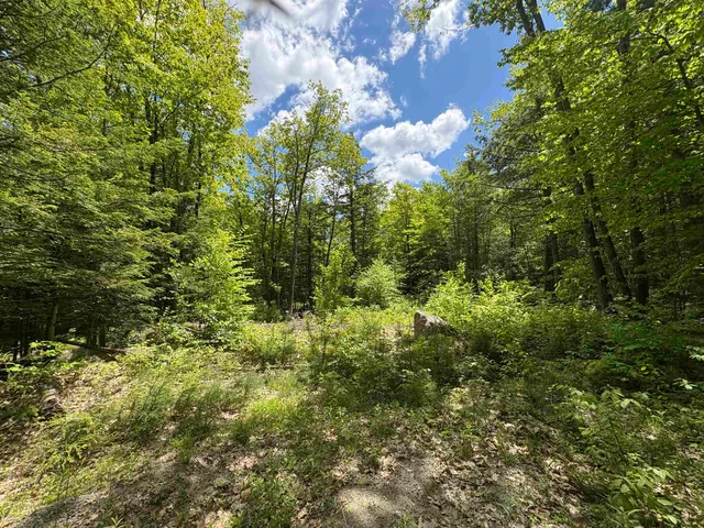 $100,000 | Craig Road, Unit 3, Antrim, NH 03440