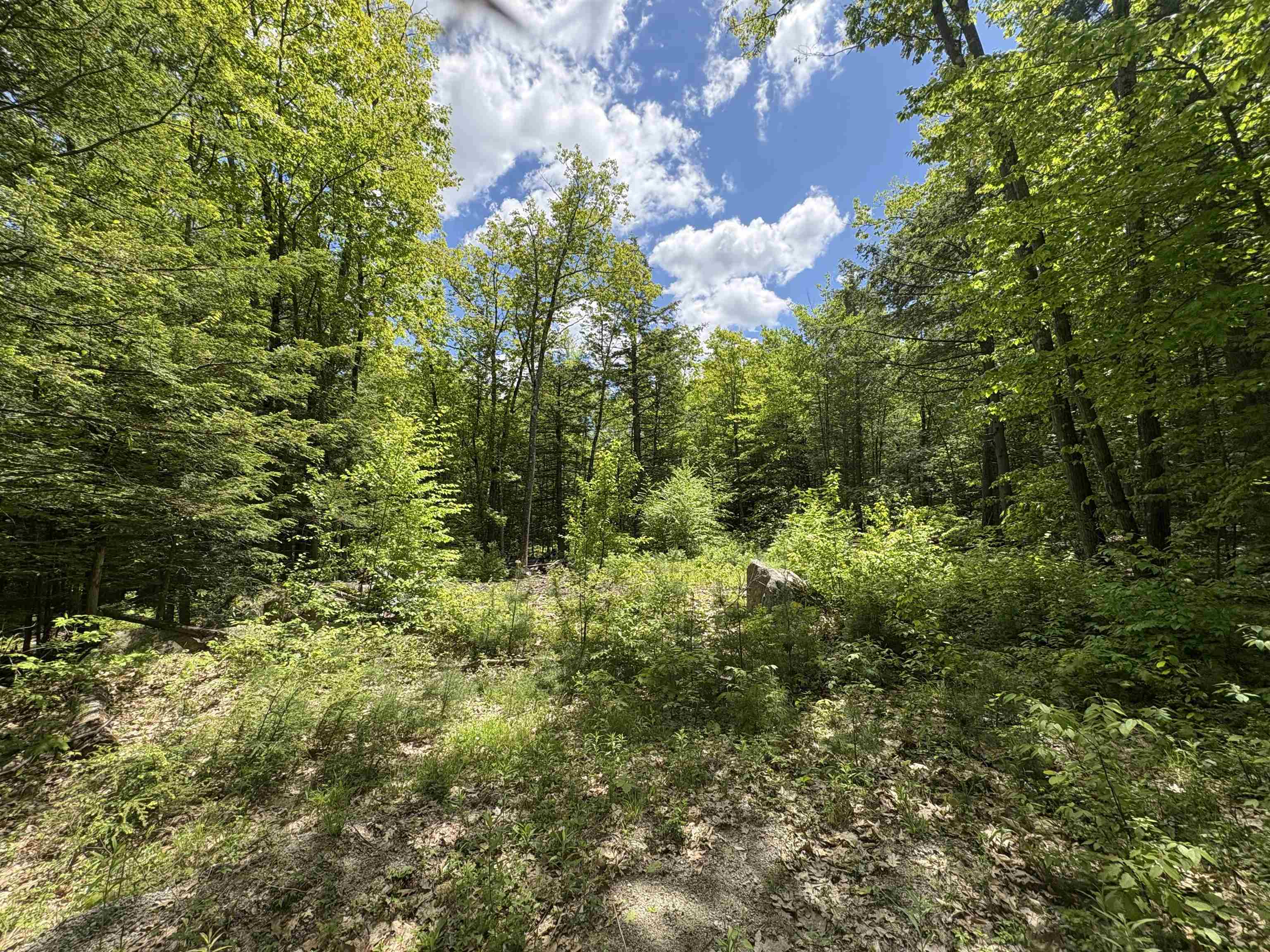 Craig Road, Unit 3 Antrim, NH 03440 - Photo 3 of 8