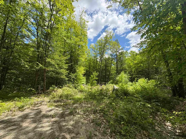 $100,000 | Craig Road, Unit 3, Antrim, NH 03440