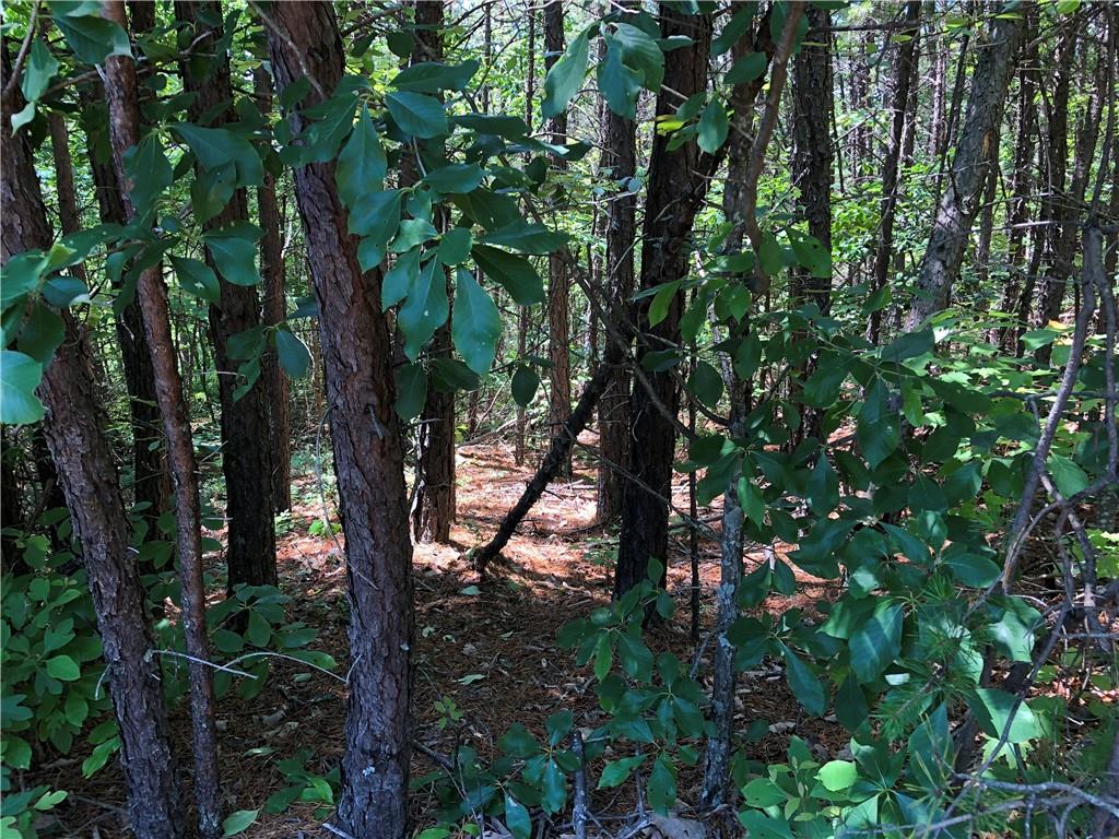 3629 Methodist Park Road Valdese, NC 28690 - Photo 3 of 6 Gallery Image 3