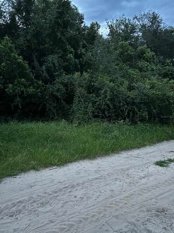 135 Southeast Se Lane Umatilla, FL 32784 - Photo 1 of 4 a view of a yard with plants