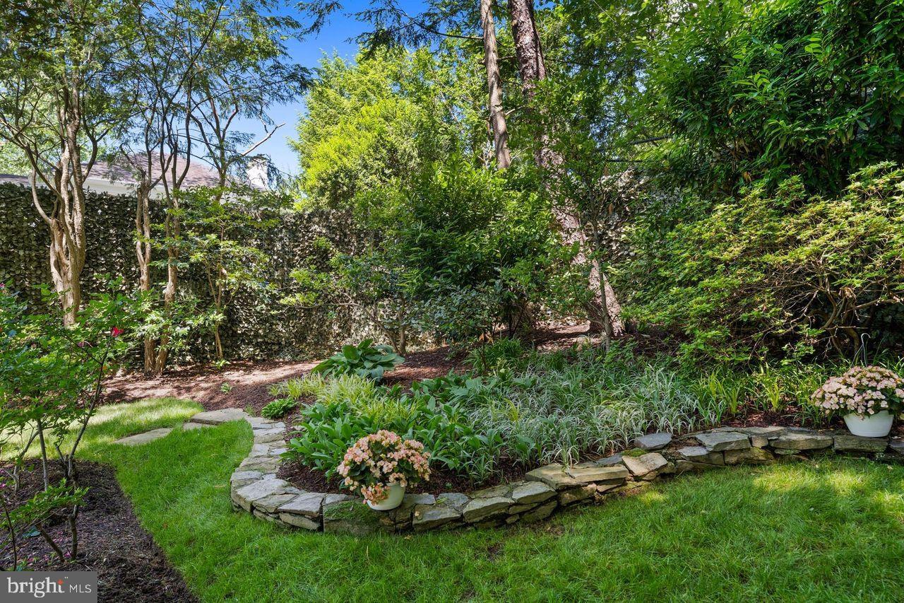 4555 W Street Northwest Washington, DC 20007 - Photo 30 of 34 a view of a backyard with couches and trees