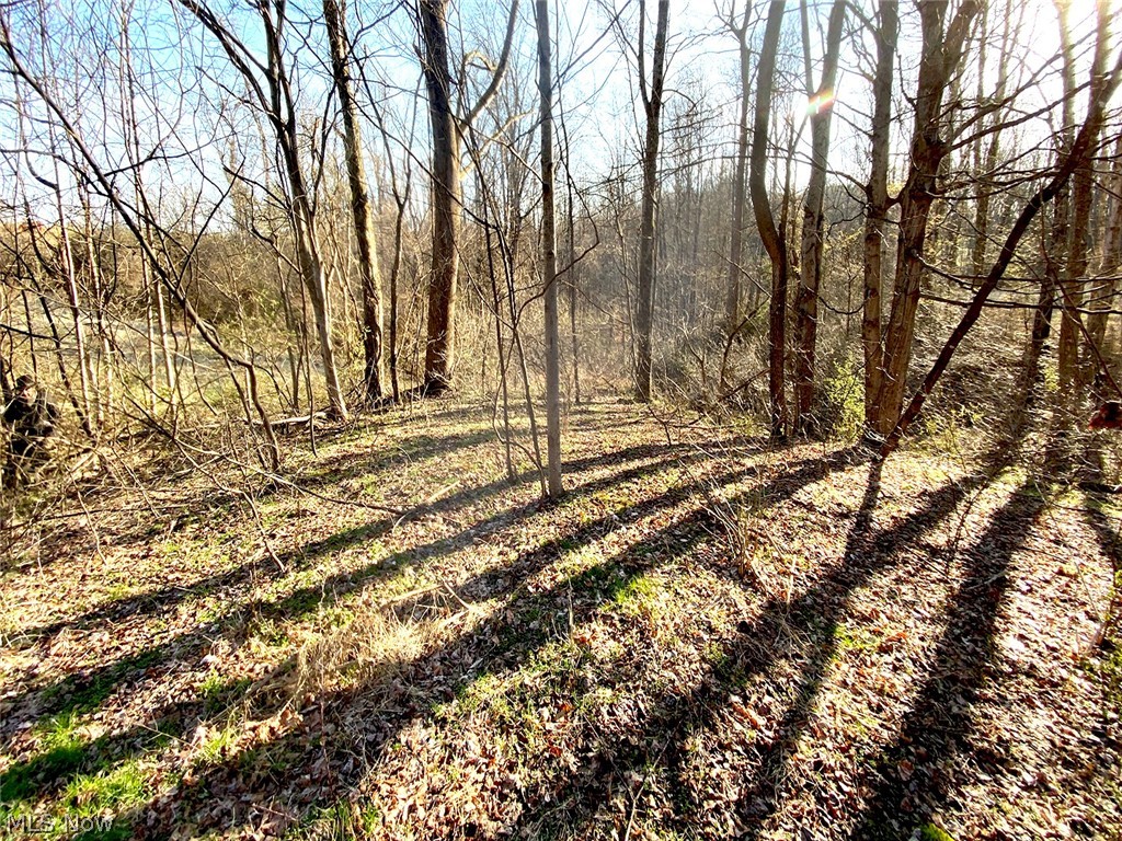 0 Twp Road Dexter City, OH 45727 - Photo 8 of 26
