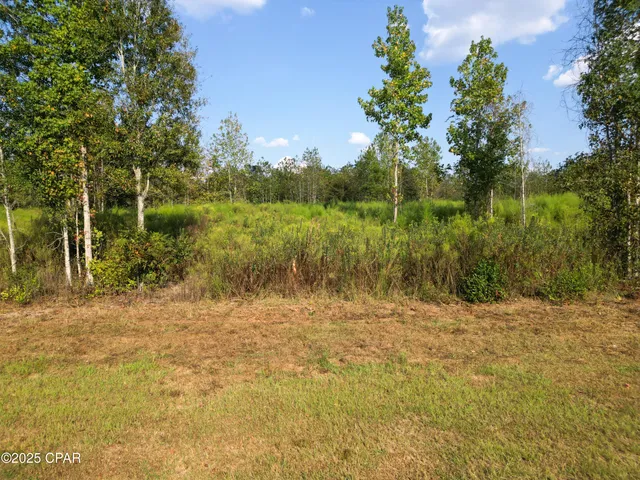 $39,900 | 3 1st Avenue, Graceville, FL 32440