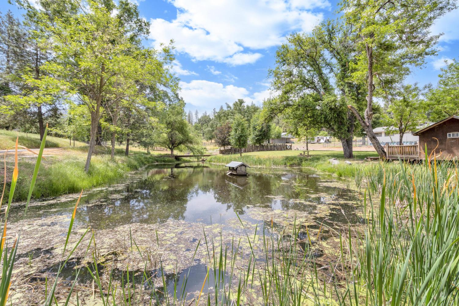 22025 Ferretti Road Groveland, CA 95321 - Photo 50 of 92
