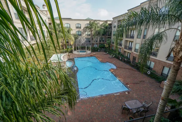 a view of a yard with plants and large trees