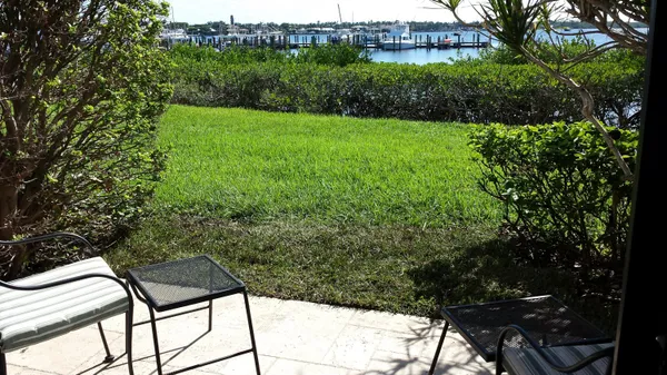 a view of a yard