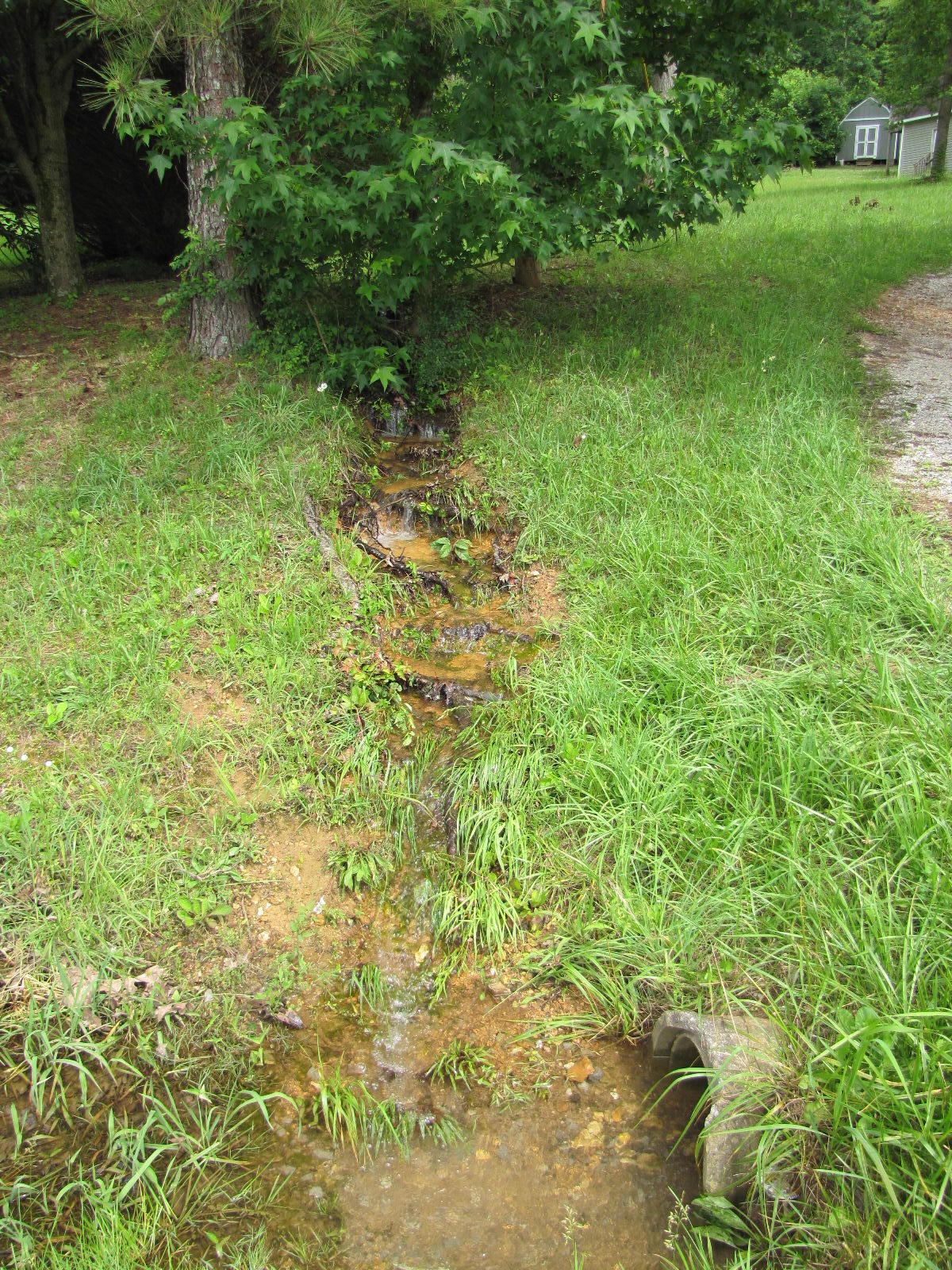 853 Chamberlain Road LaFayette, GA 30728 - Photo 3 of 26 IMG_7926