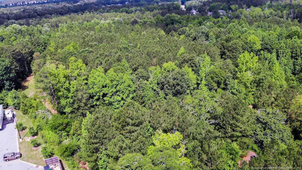24-87 Nc Cameron, NC 28326 - Photo 13 of 28 a view of a lush green forest with lots of trees