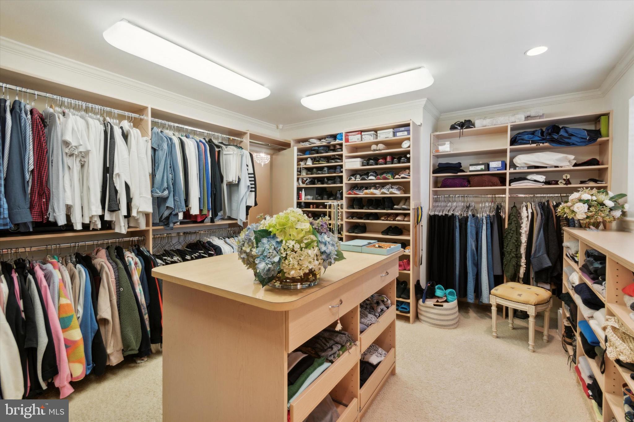 1080 Squirrel Road Jenkintown, PA 19046 - Photo 24 of 68 Incredible custom closet