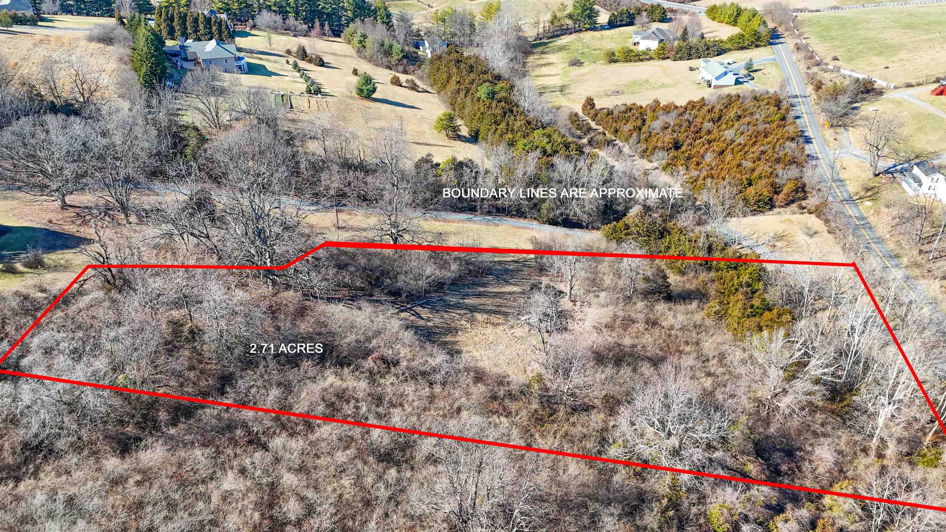 Tbd Fort Defiance Road Fort Defiance, VA 24437 - Photo 9 of 11 a view of lot of flowers and barn