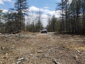 Lot 1 Tipple Road Tracy City, TN 37387 - Photo 4 of 4 20180410212705621411000000
