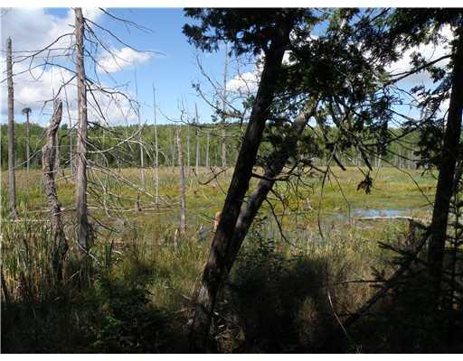 191 Cambridge Road Harmony, ME 04942 - Photo 16 of 17 Land/Lot. The beaver pond changes...
