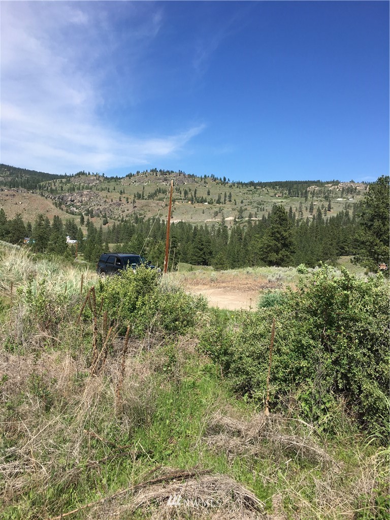 0 Tbd Overland Road Oroville, WA 98844 - Photo 2 of 17 Gallery Image 2