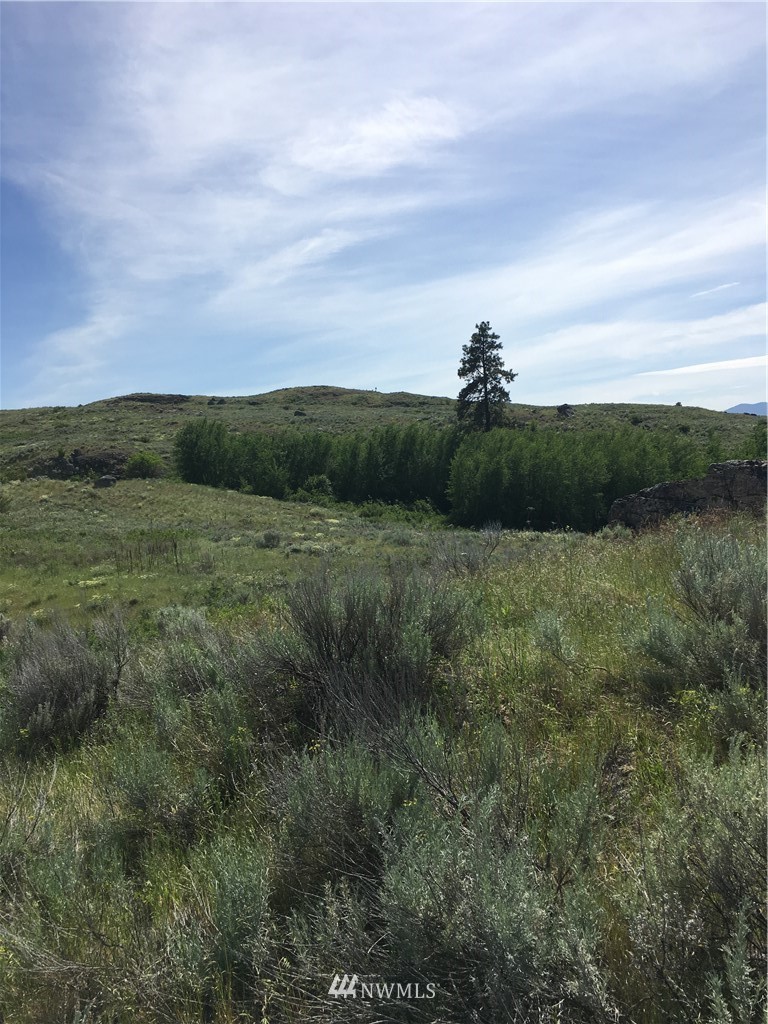 0 Tbd Overland Road Oroville, WA 98844 - Photo 14 of 17 Gallery Image 14