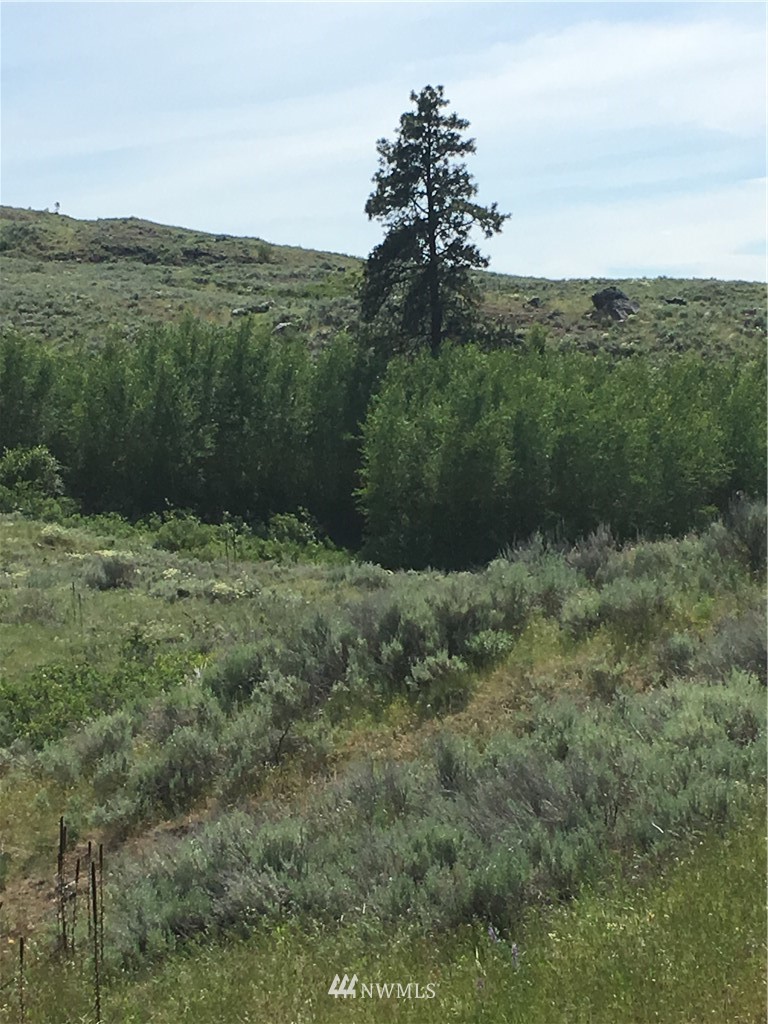 0 Tbd Overland Road Oroville, WA 98844 - Photo 15 of 17 Gallery Image 15
