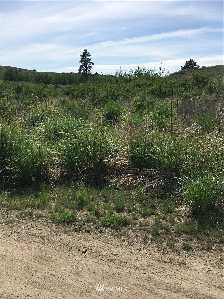 0 Tbd Overland Road Oroville, WA 98844 - Photo 16 of 17 Gallery Image 16