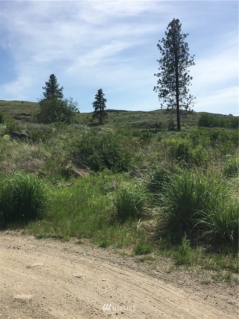0 Tbd Overland Road Oroville, WA 98844 - Photo 17 of 17 Gallery Image 17