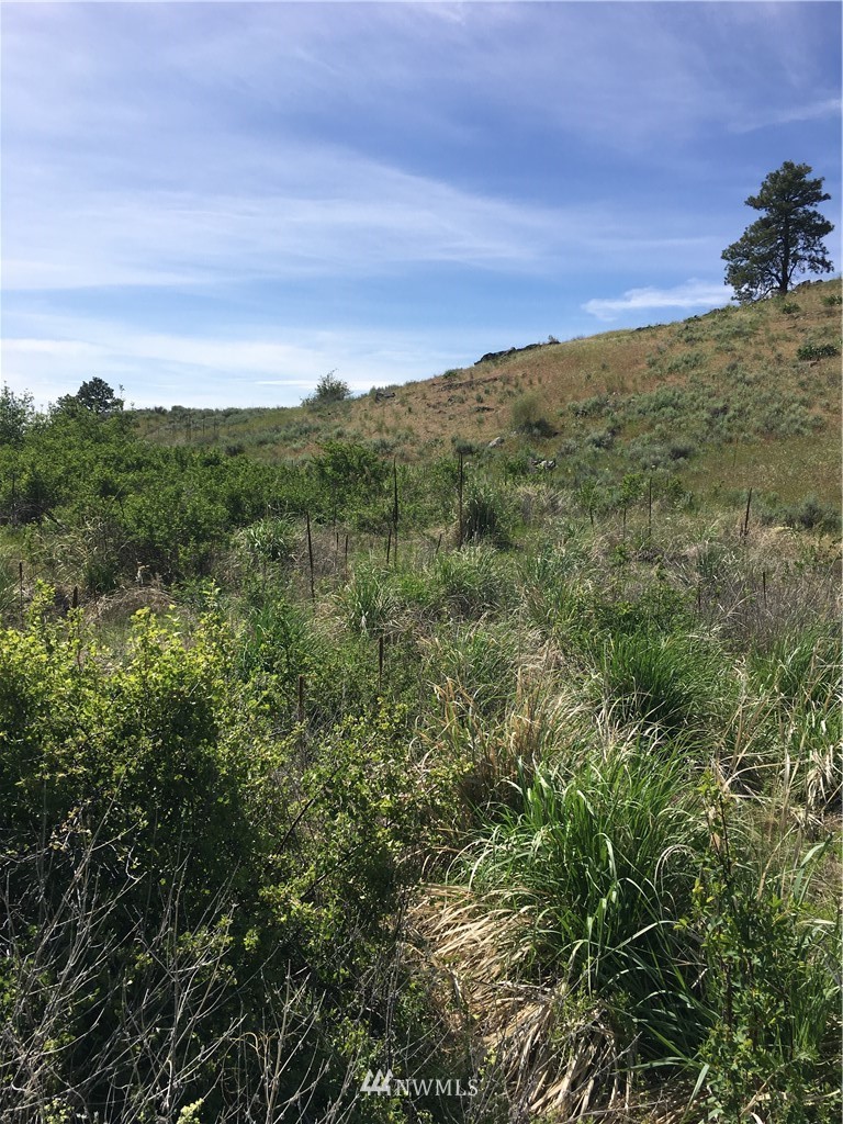 0 Tbd Overland Road Oroville, WA 98844 - Photo 4 of 17 Gallery Image 4