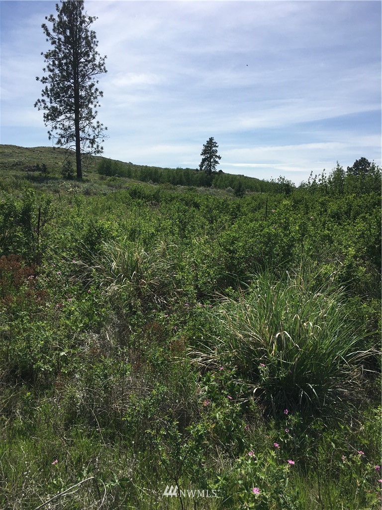 0 Tbd Overland Road Oroville, WA 98844 - Photo 5 of 17 Gallery Image 5