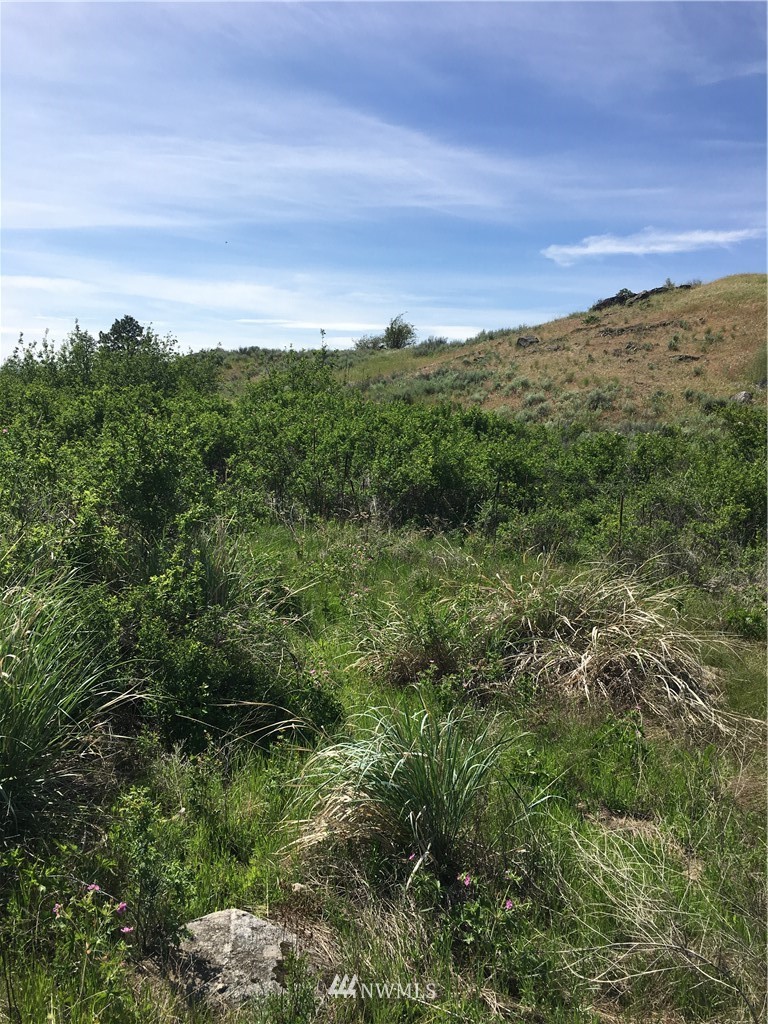 0 Tbd Overland Road Oroville, WA 98844 - Photo 6 of 17 Gallery Image 6
