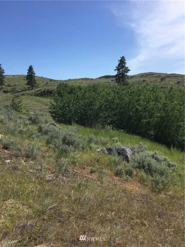 0 Tbd Overland Road Oroville, WA 98844 - Photo 10 of 17 Gallery Image 10