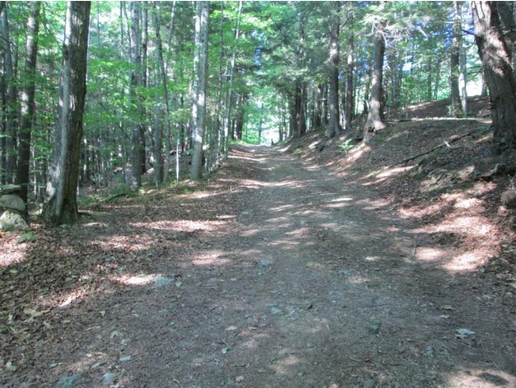 0 Furnace Flats Road South Strafford, VT 05070 - Photo 1 of 1