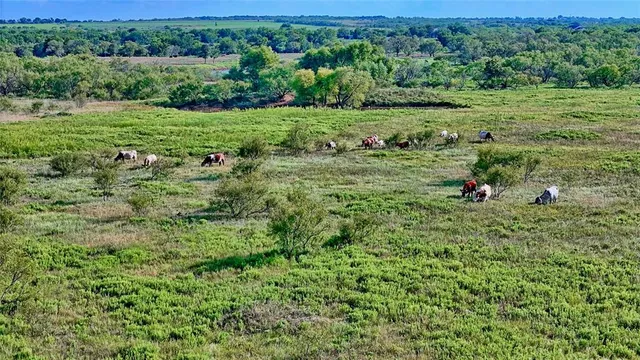 a green field with lots of trees in the background
