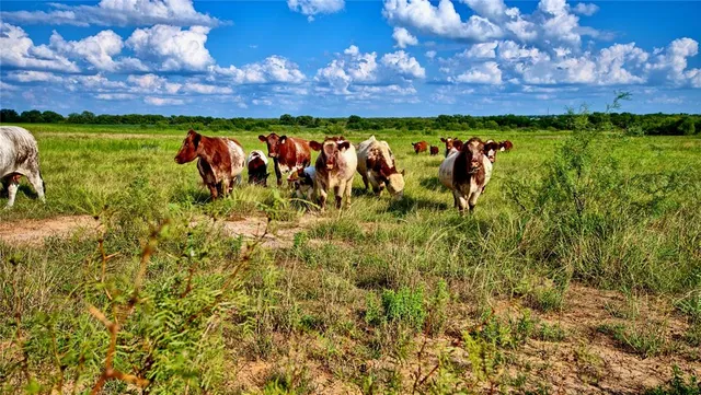 a view of a field with an outdoor space