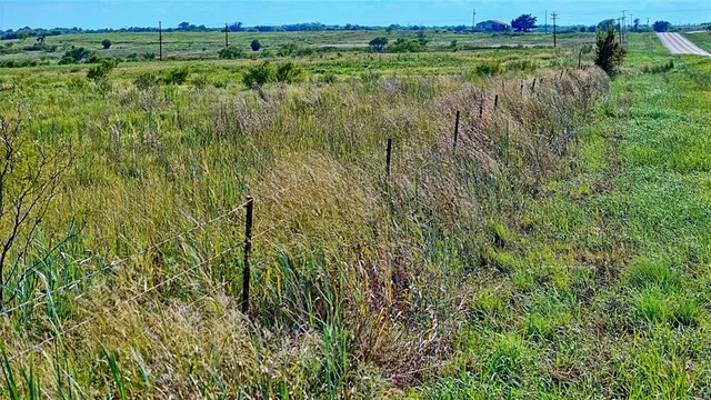 a view of a green field with lots of bushes