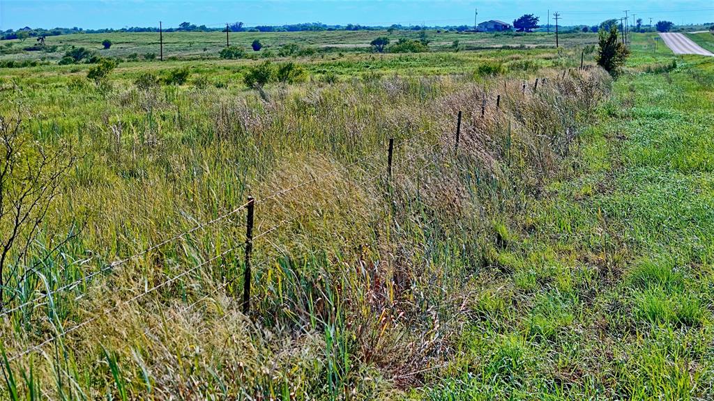 174 Windthorst Tx 76389 Henrietta, TX 76365 - Photo 7 of 18 a view of a green field with lots of bushes