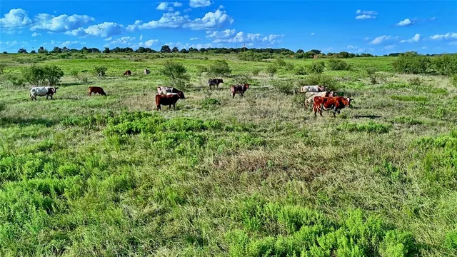 a group of people sitting in a field