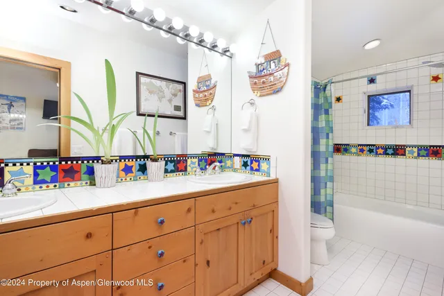 a bathroom with a sink a vanity and a shower