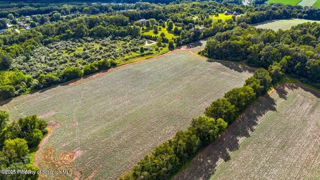 a view of a garden with flowers