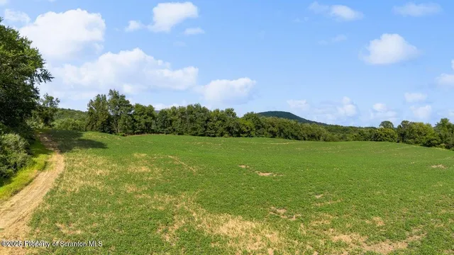 a view of lake with green space
