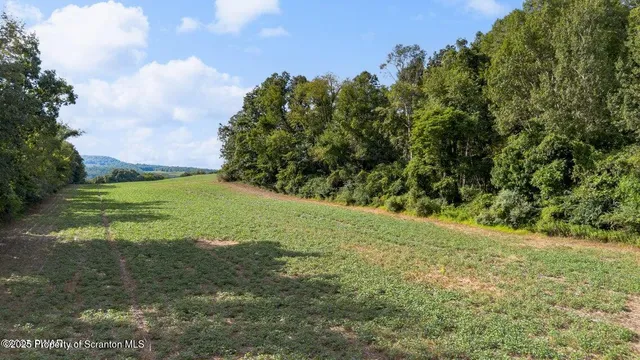 a view of a field with an trees