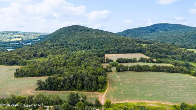 an aerial view of residential houses with outdoor space and trees