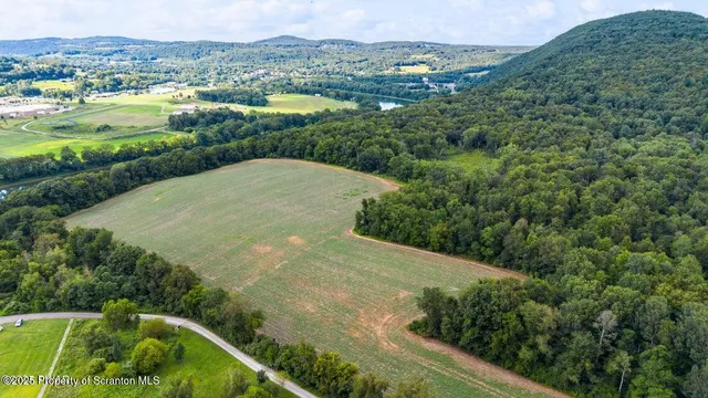 a view of a city with lush green forest