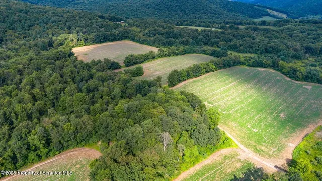 a view of an outdoor space and a yard