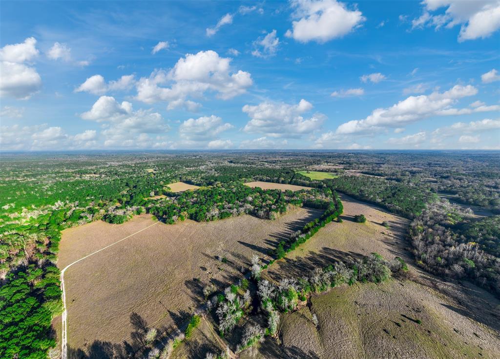 0 Acr 153 Palestine, TX 75801 - Photo 11 of 20 a view of a lake