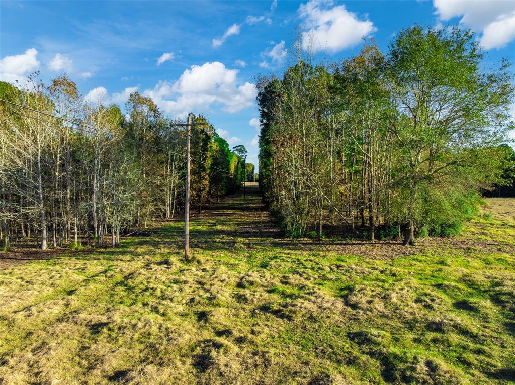 0 Acr 153 Palestine, TX 75801 - Photo 13 of 20 a house with lots of trees