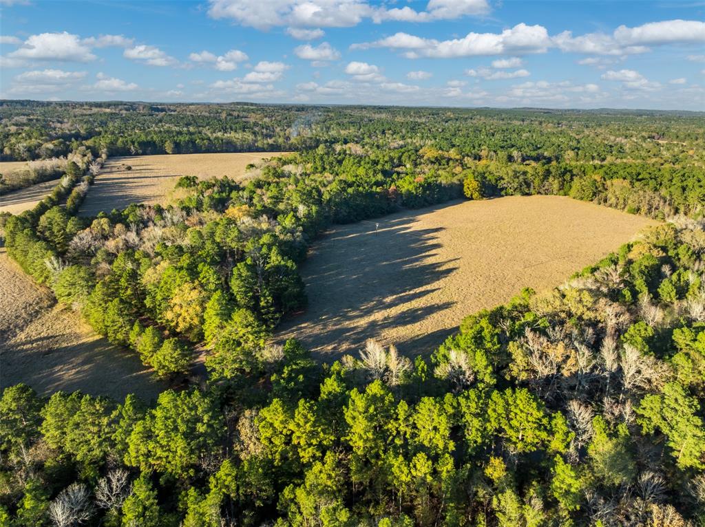 0 Acr 153 Palestine, TX 75801 - Photo 18 of 20 a view of a lake with a yard