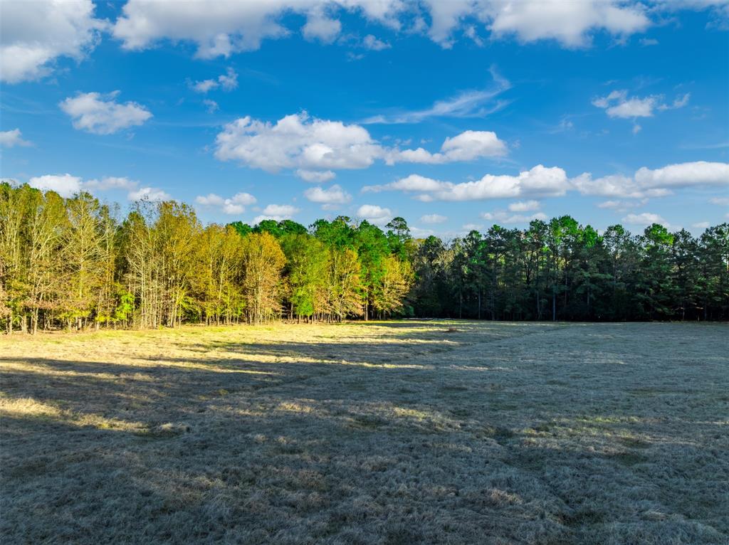 0 Acr 153 Palestine, TX 75801 - Photo 19 of 20 a view of a big yard