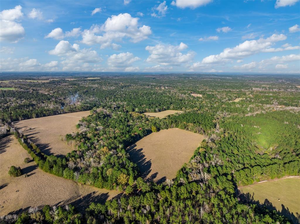 0 Acr 153 Palestine, TX 75801 - Photo 2 of 20 a view of a lake with a yard